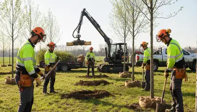 Tree planting service in Littleton, CO for healthy growth and proper site selection