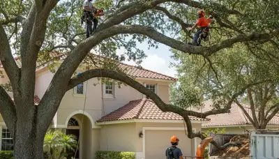 Tree service crew in Littleton, CO providing professional tree removal and trimming for local property owners