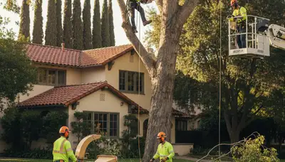 Tree service crew in Littleton, CO providing professional tree removal and trimming services