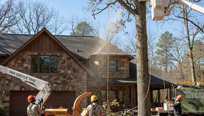Tree service crew in Littleton, CO providing professional tree removal and trimming services