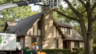 Tree service crew in Littleton, CO providing professional tree removal and trimming services