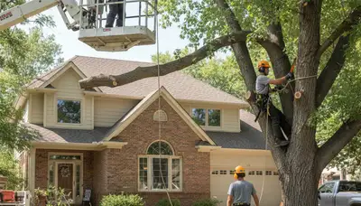 Tree service crew in Littleton, CO providing professional tree removal and maintenance services