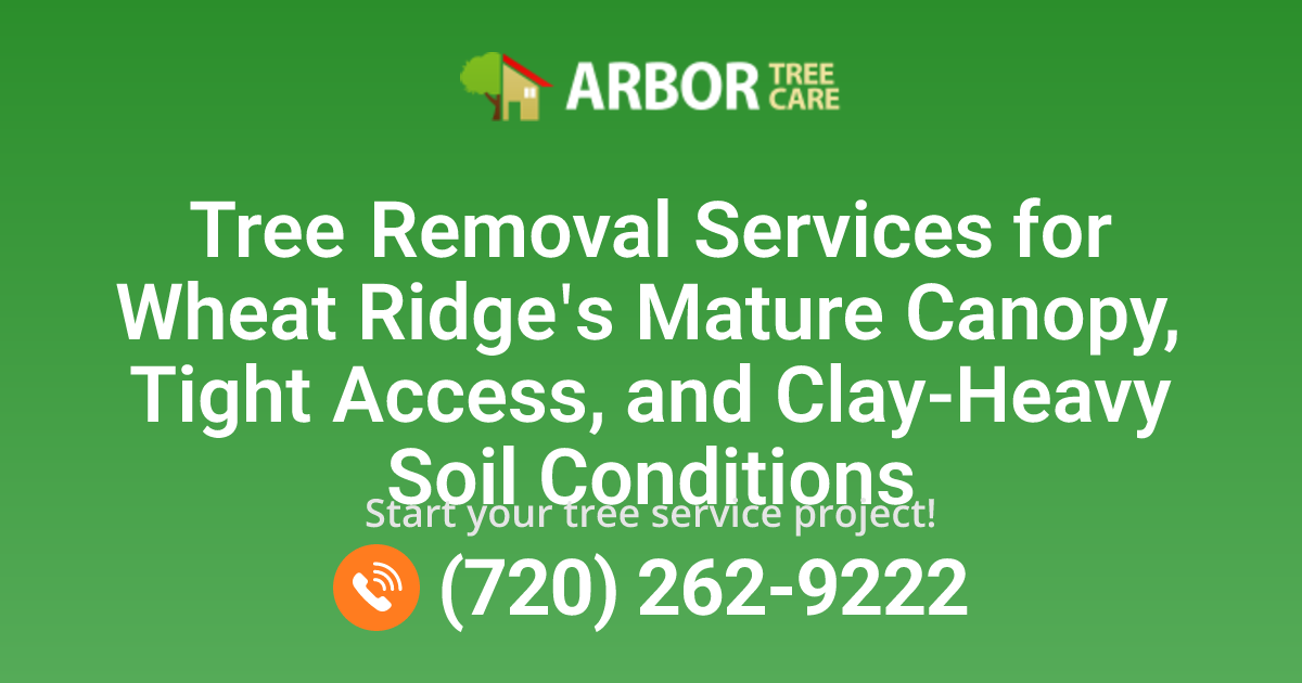 Tree Trimming, Removal & Tree Services in Wheat Ridge, CO | Arbor Tree Care